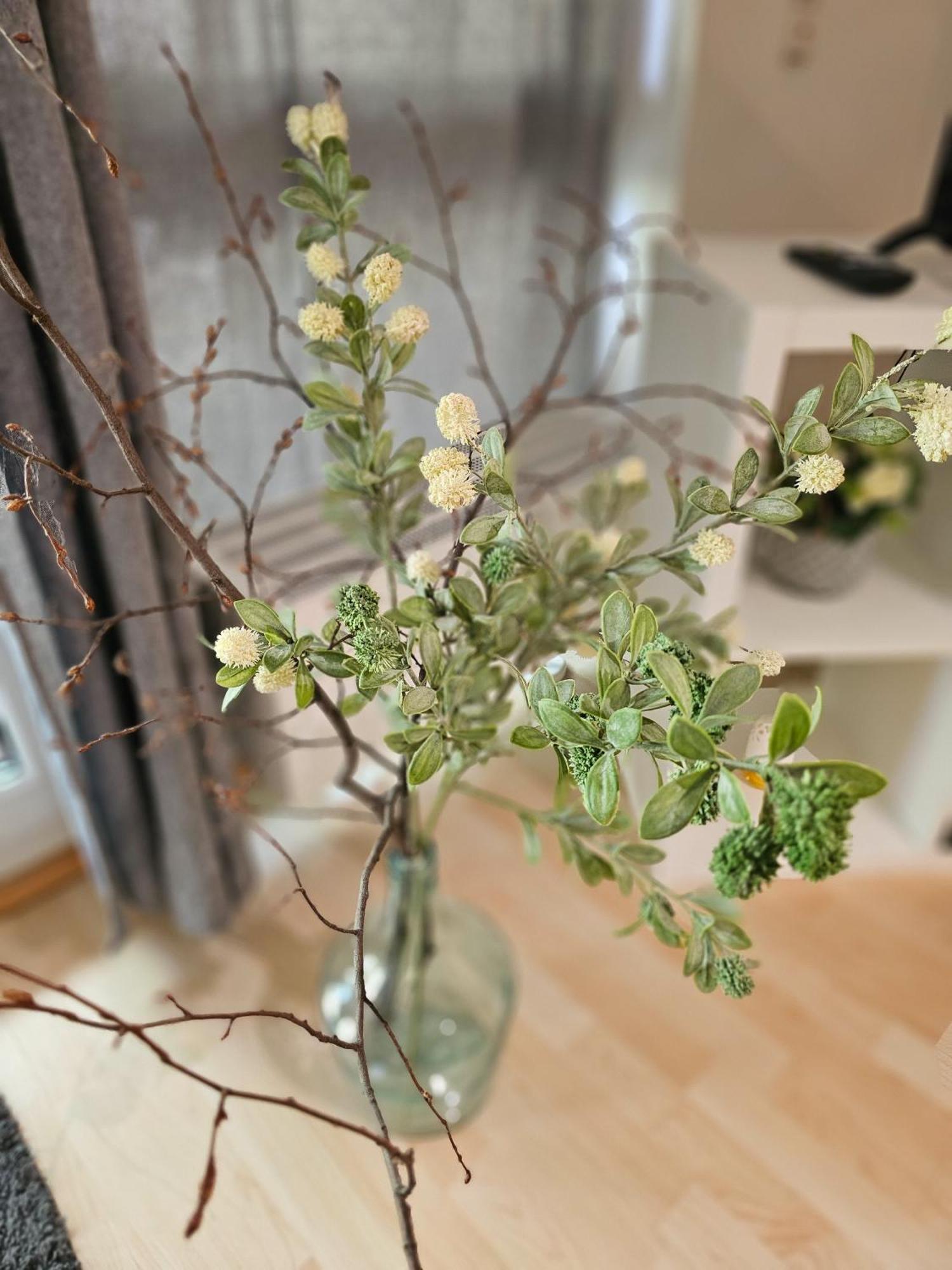 Ulmer Nestchen Apartament Ulm